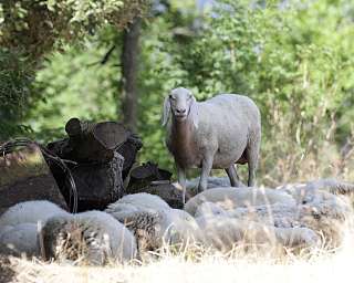 outdoor-lovers-gardasee-ferienhausvermittlung-wunderorte-buchen