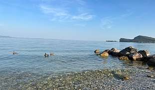 Strand-San-Felice-del-Benacco-Lamasu-Gardasee-Natur