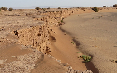 wuestentouren-wuestentrekking-offroad-reisen-wunderorte-buchen